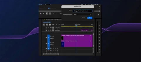 Changing Track Size (Timeline Track Height)