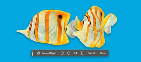 Rotate Object is now available in Beta! | Community