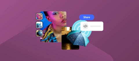 What’s New in Adobe Express — August Highlights