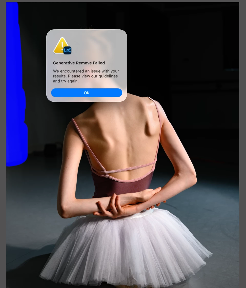 P: Generative Remove Feedback (Lr Classic & Lr Eco) | Community