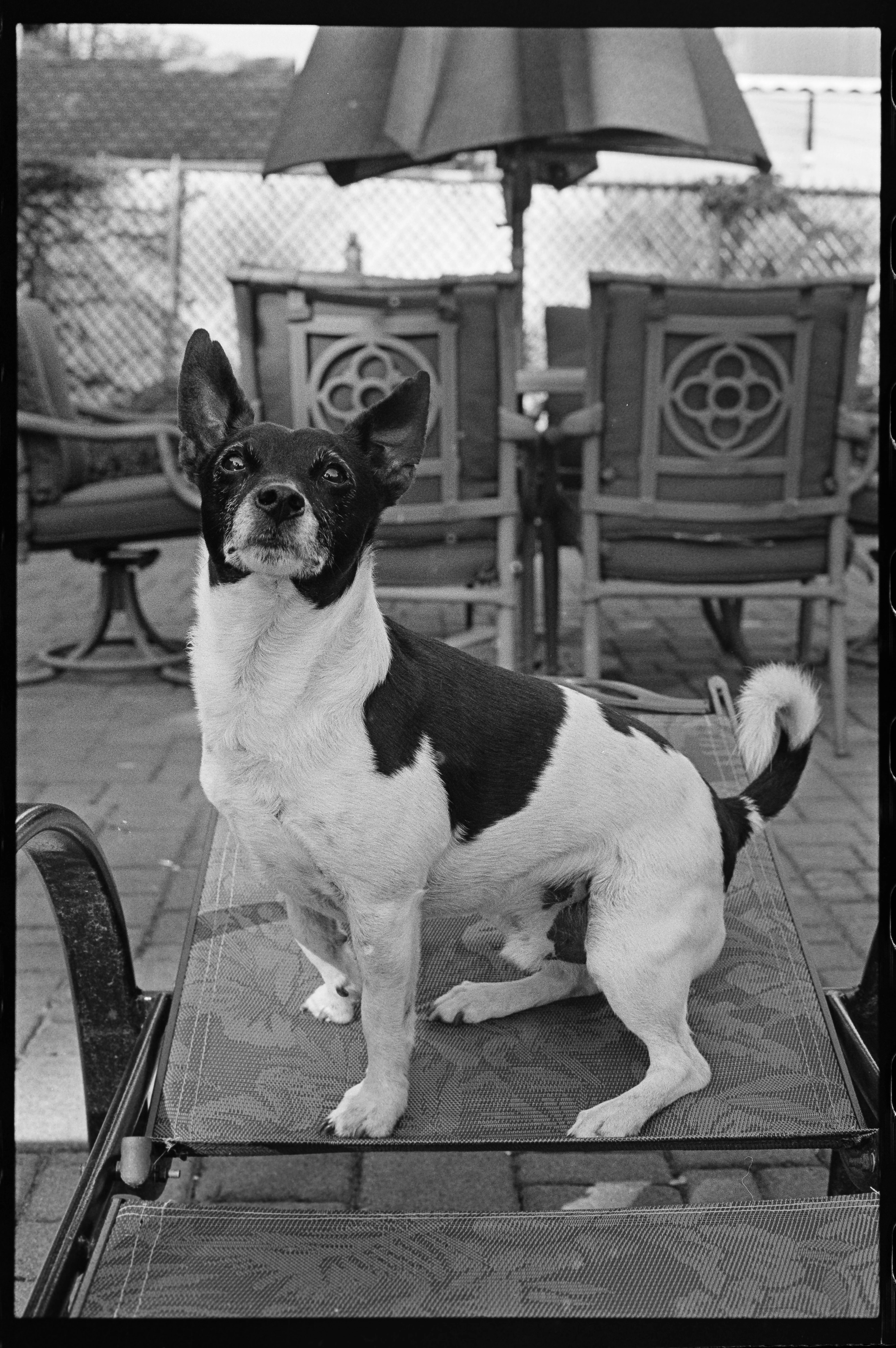 LAPhotography11845352