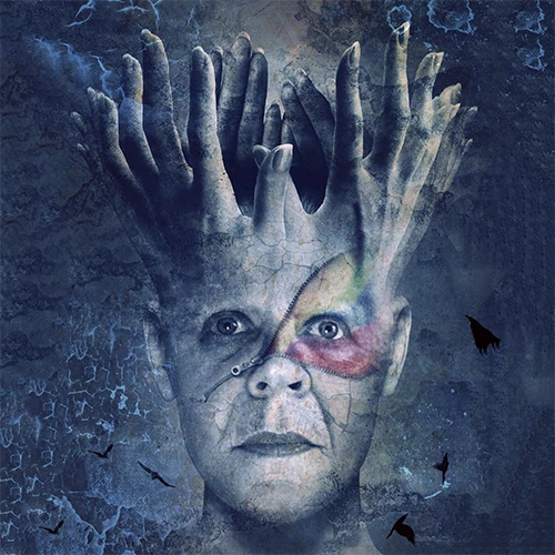 Stellar_elegance1549