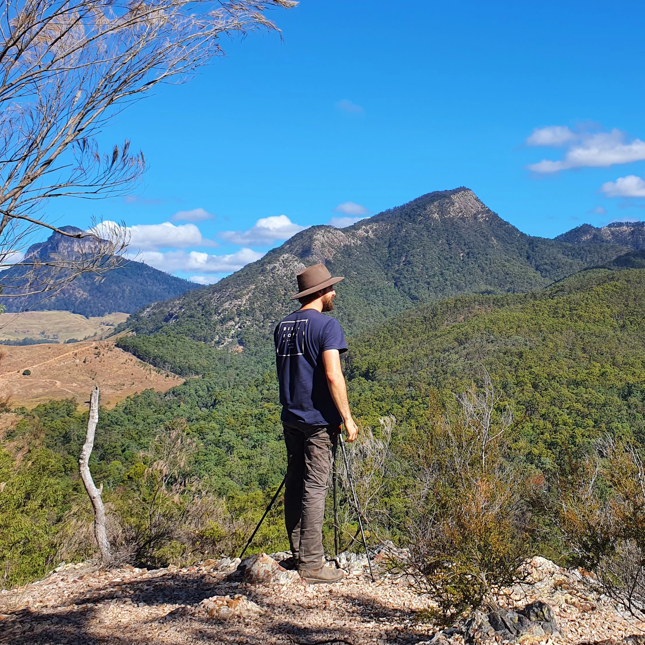 Astonished_nature5CDC