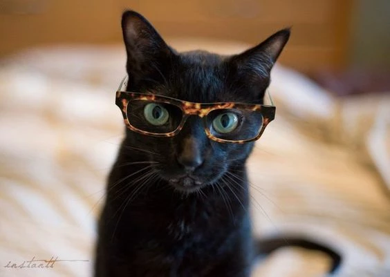 ehcobern