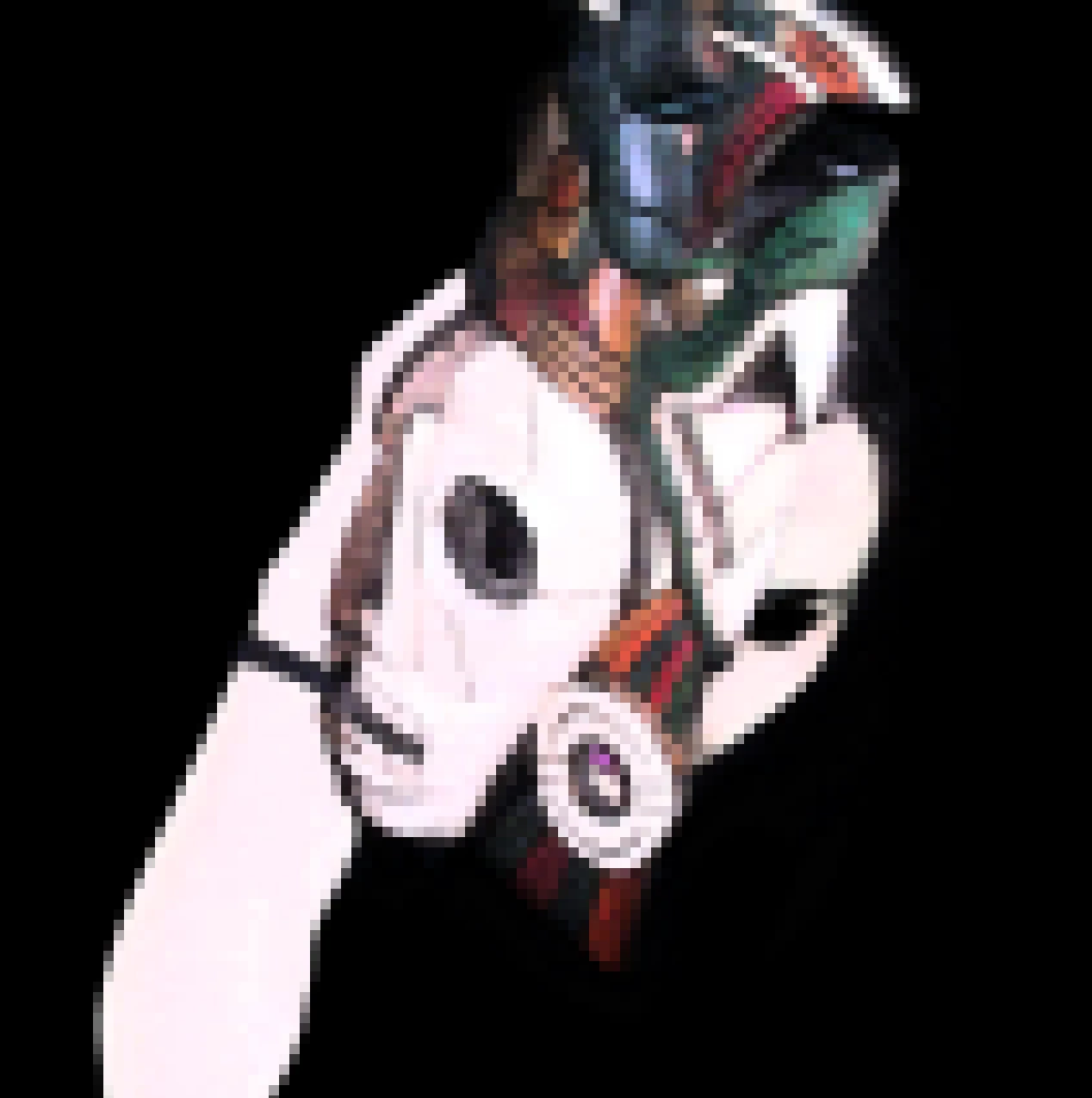 Akira_Pilgrim