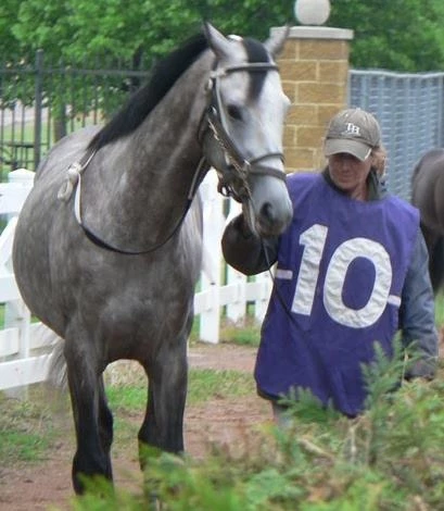 Warrior Creek Wrangler