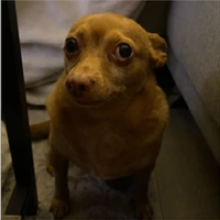 TMayito