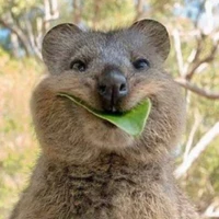 Marten Bitterling