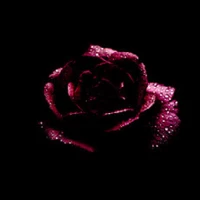 molasses_darkspace