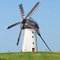 petrub69120296