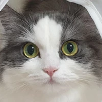 김태욱