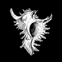 LilOpabinia