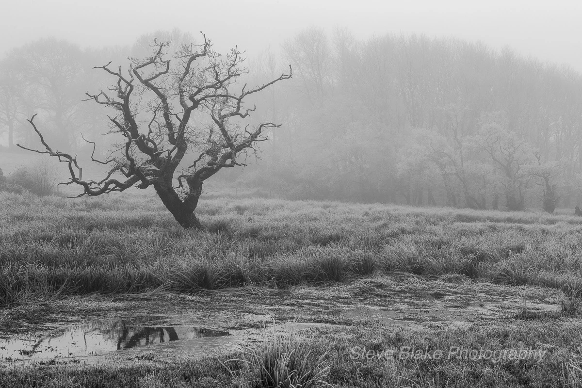 adventurous_niceness5E95