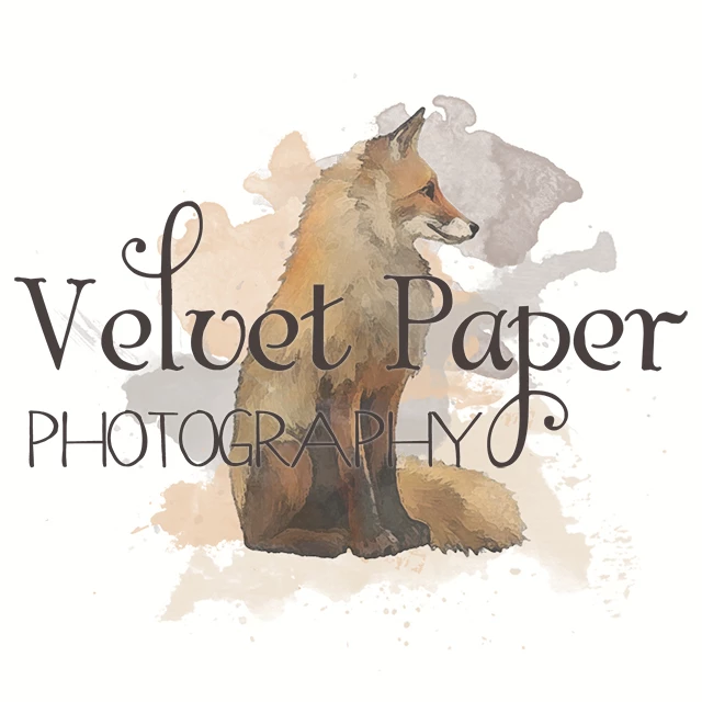 VelvetPaperPhoto