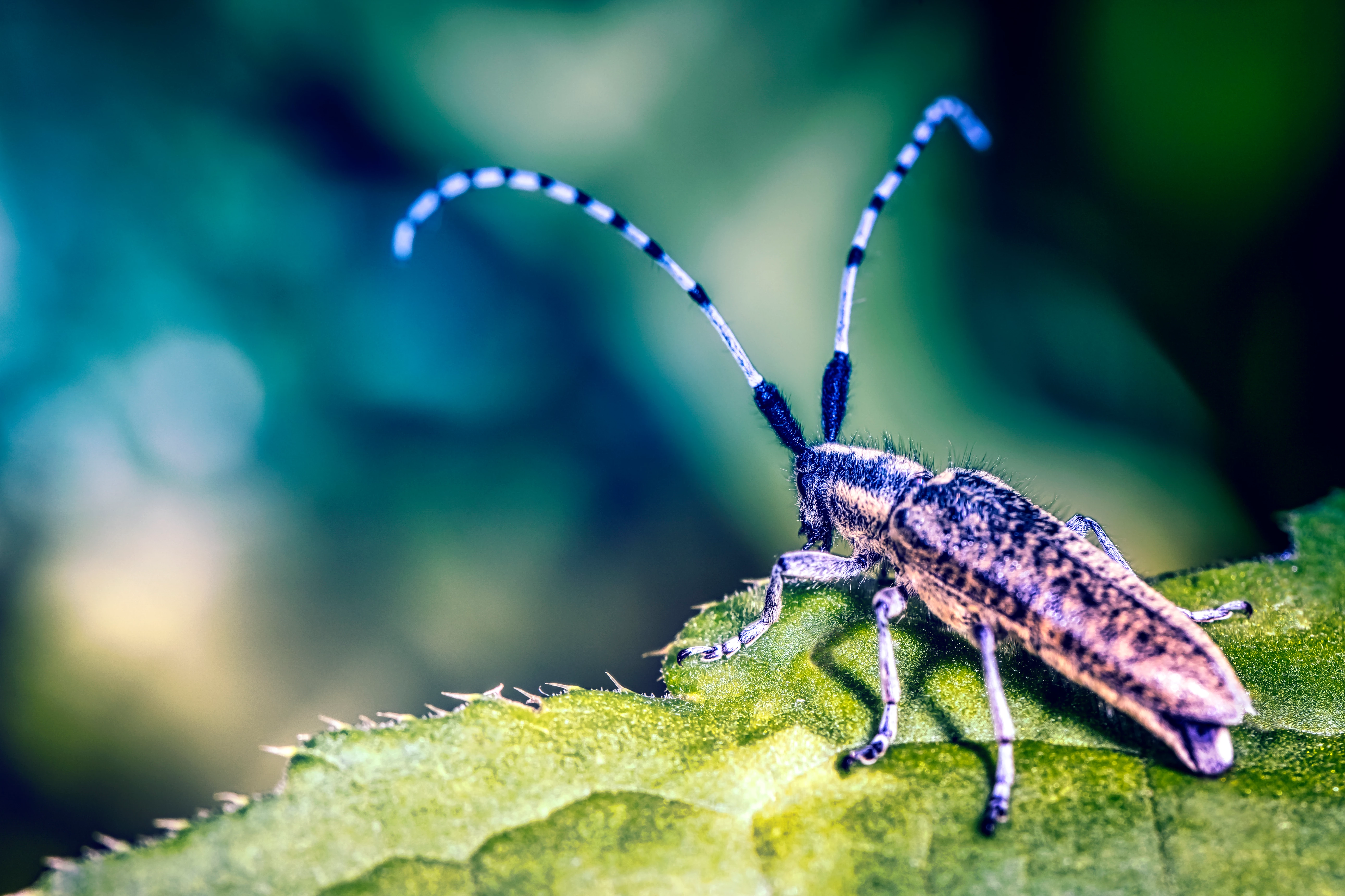 Little World of Photo