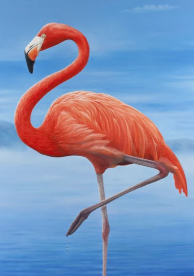 Susan Flamingo
