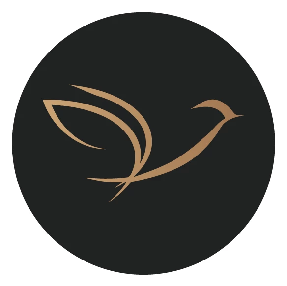 Fly Of Swallow Studio