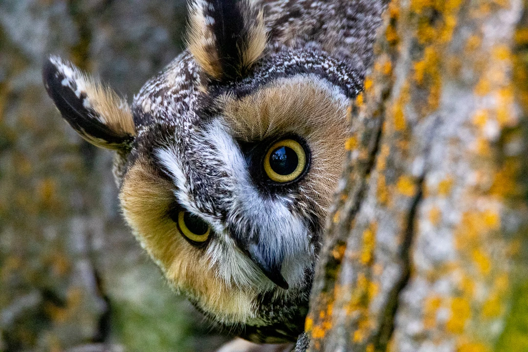 Mike G. Boulder Colorado