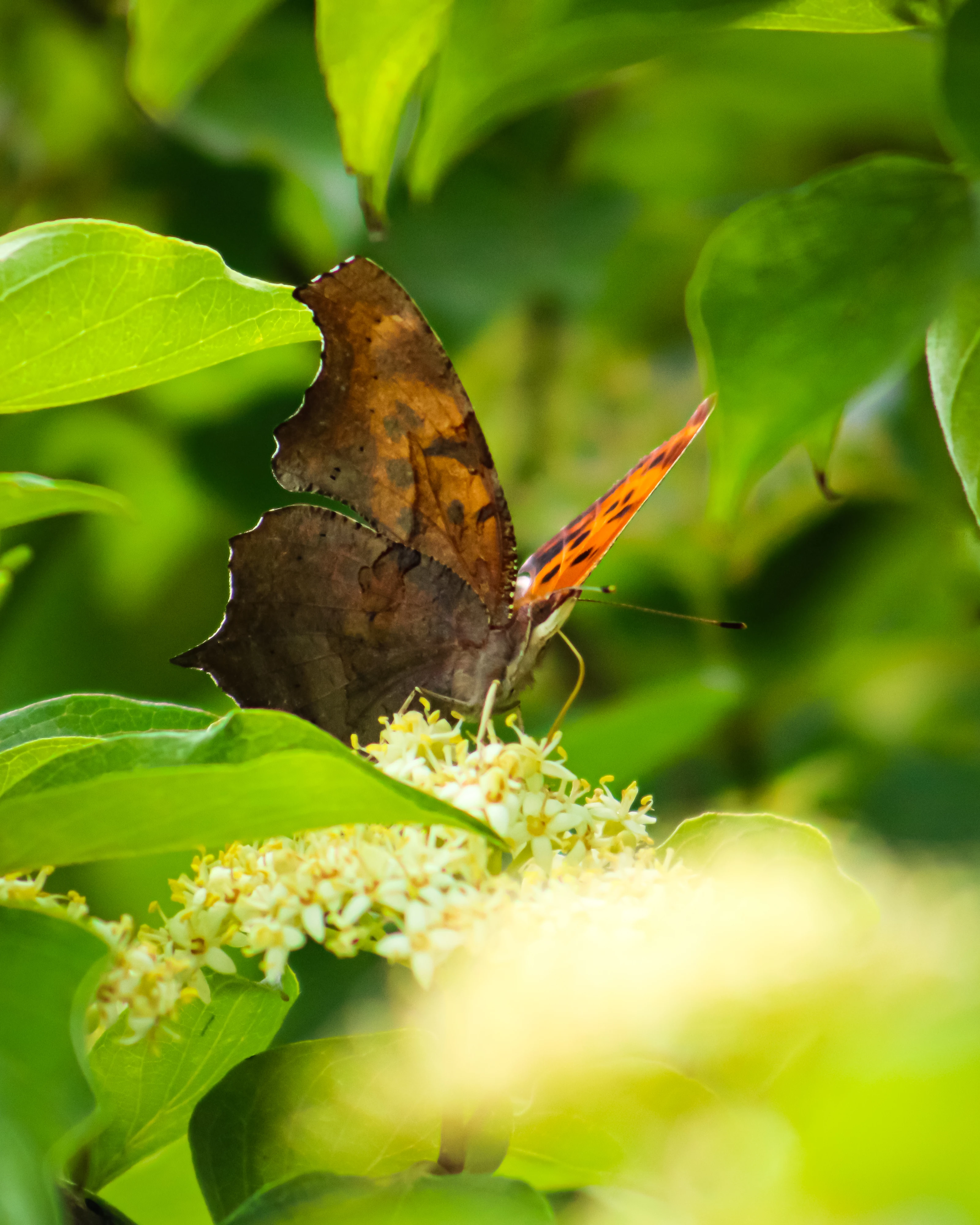 BLUpalette Photography