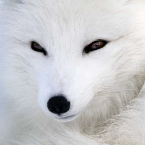 дмитрийн54995292