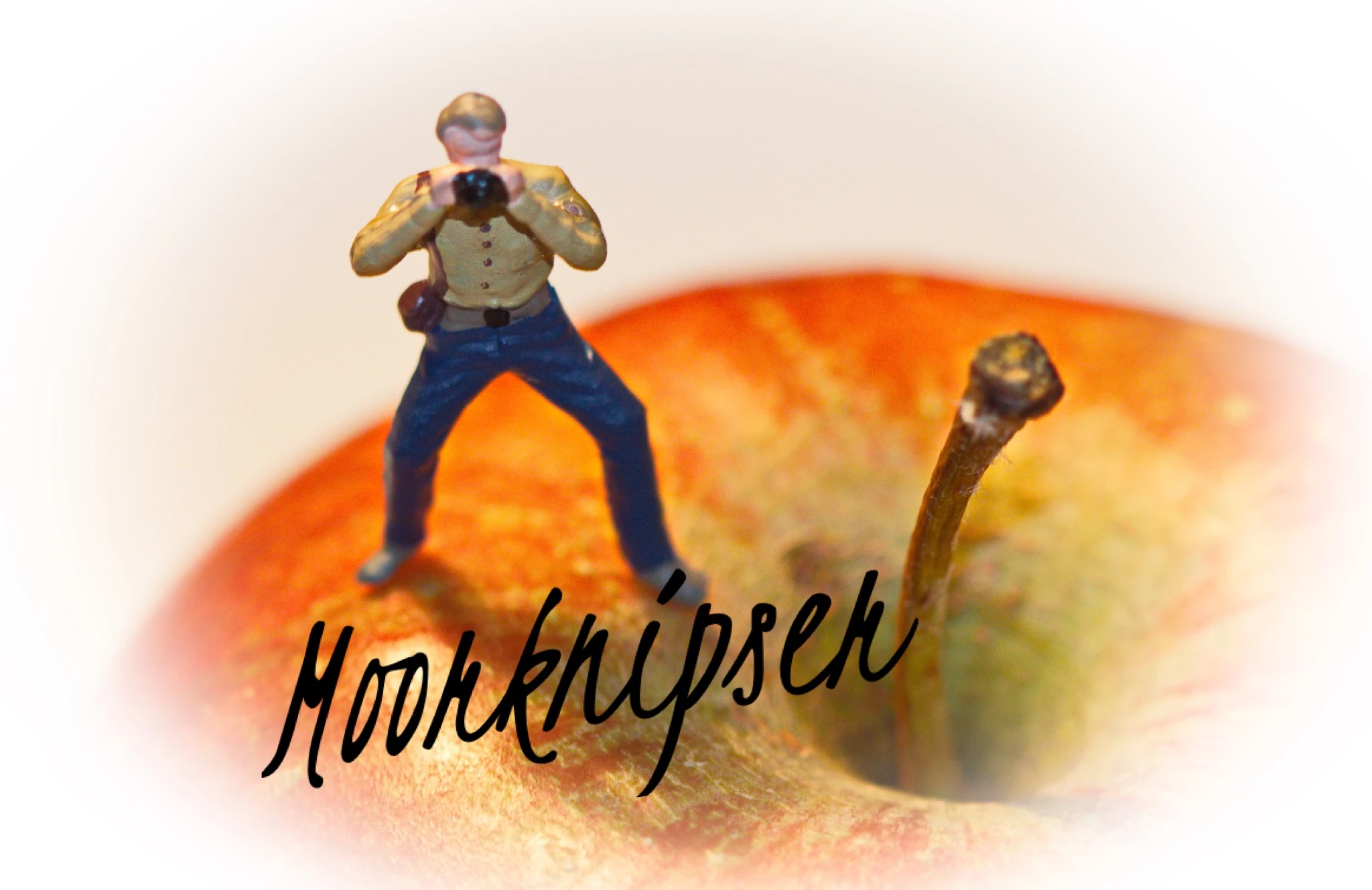 Moorknipser