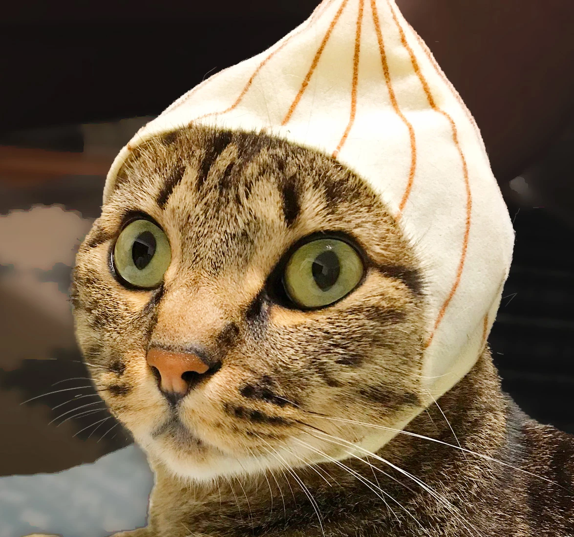 たまねぎまーくん