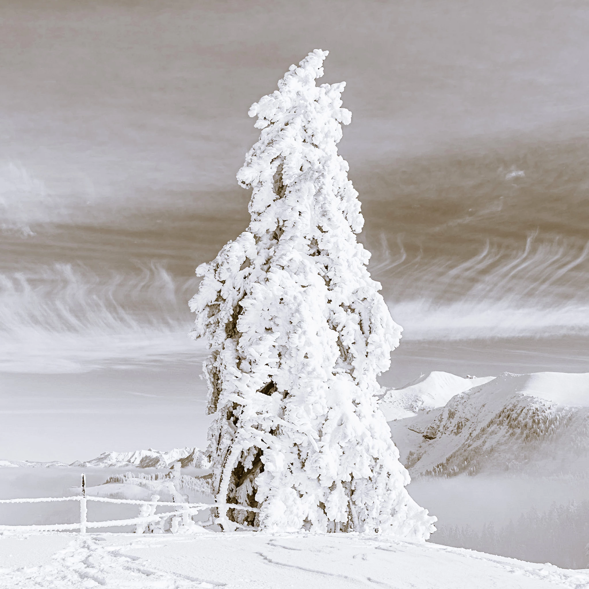 Florence_in_Switzerland