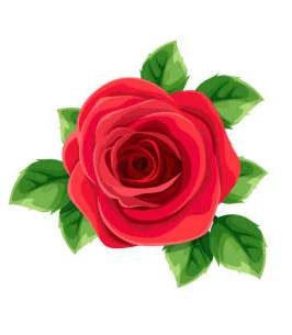 HowToLoseWeightEasyWay