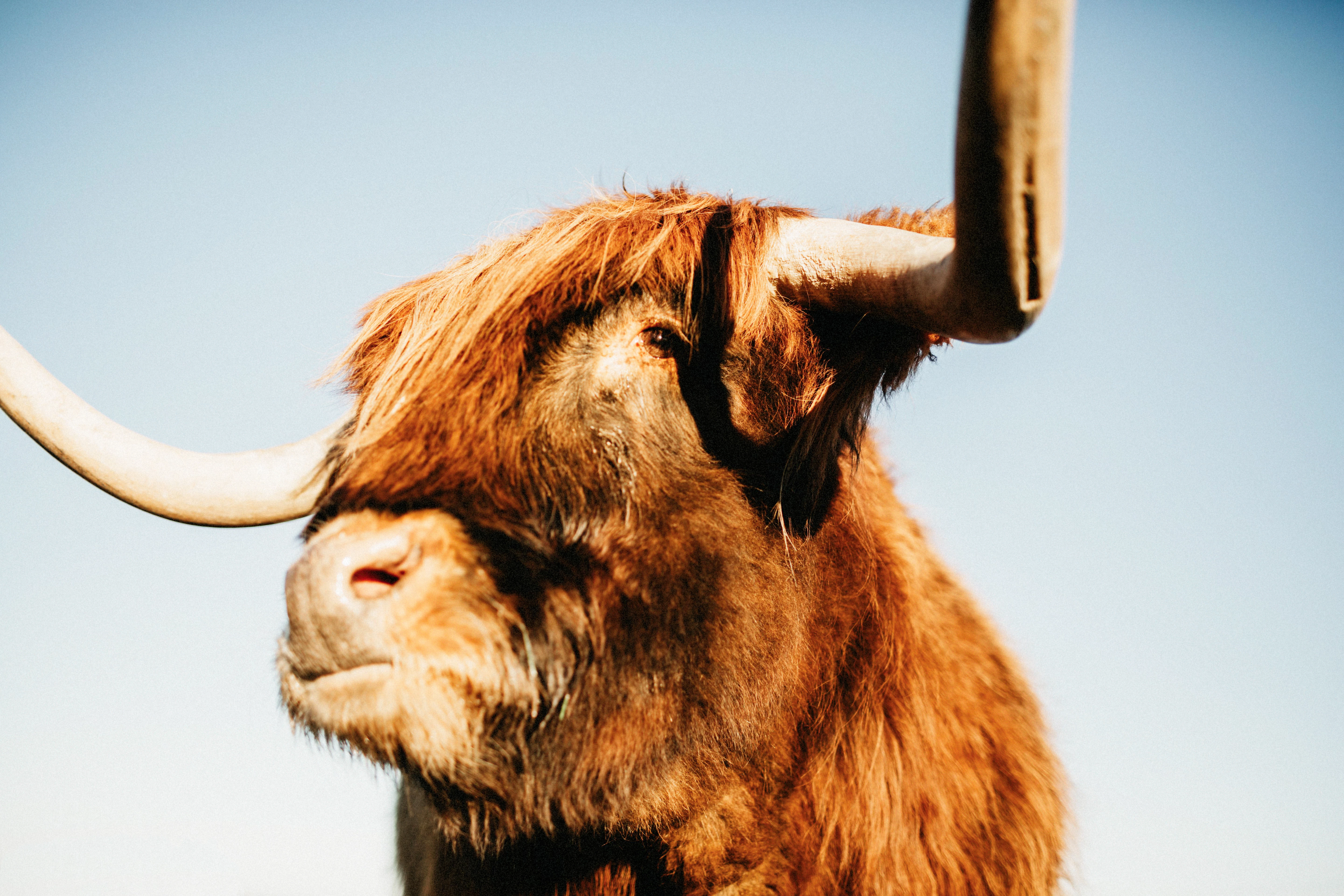 Robin_Crawford_Vet_Centre