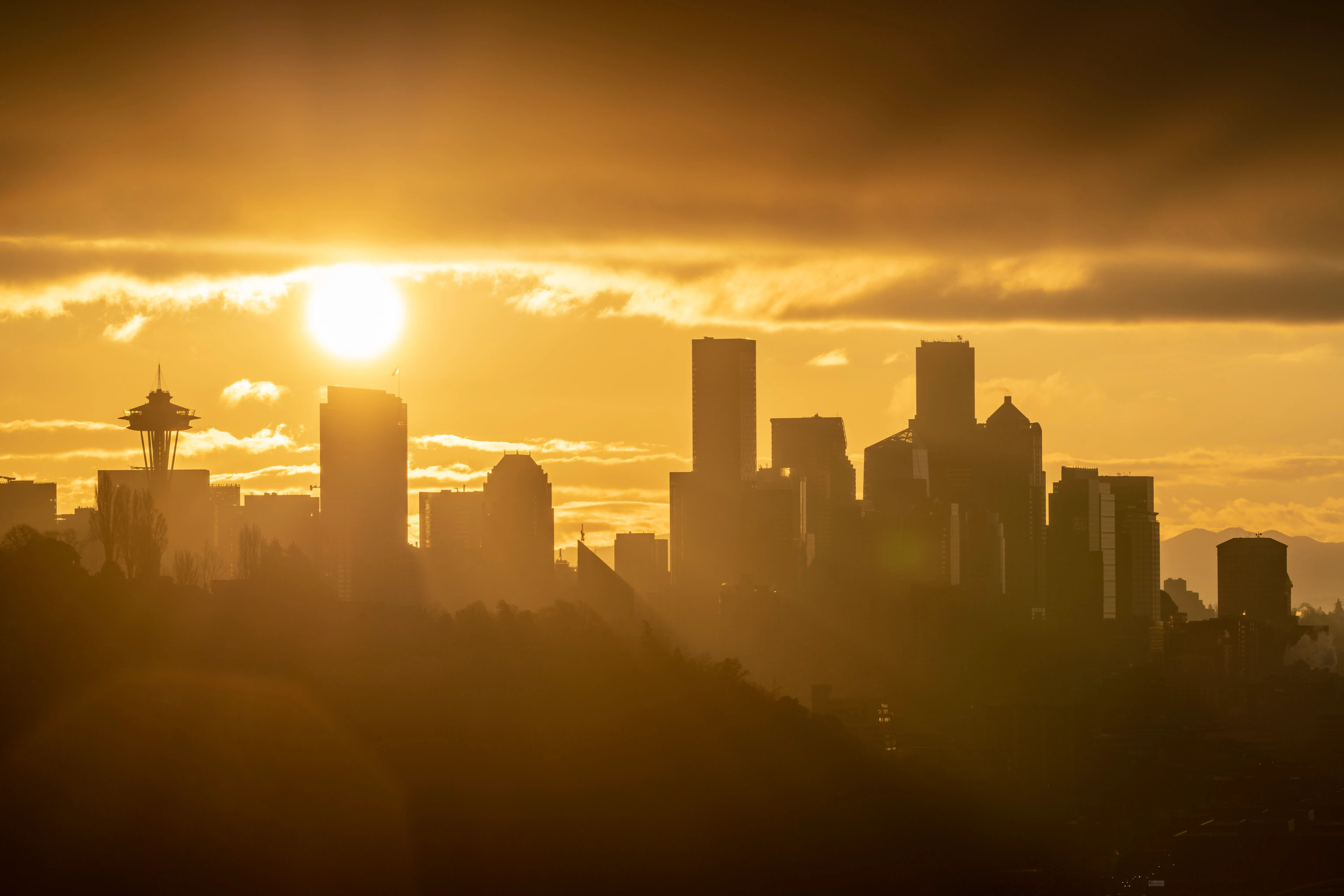 David Franzen at Work