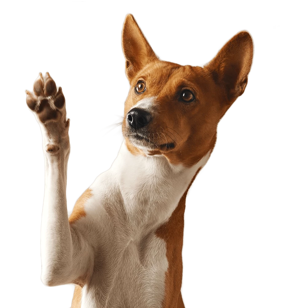 thatdoesnotcompute88