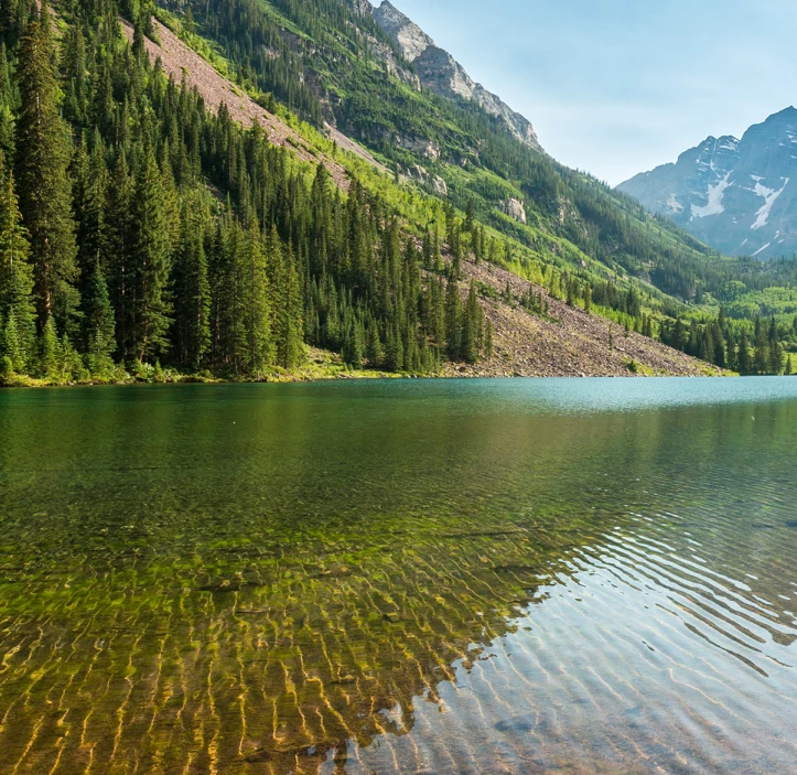 Luis Felix2188211381v6