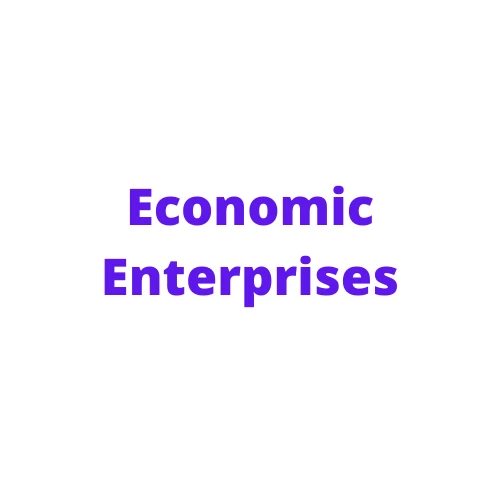 econimicenterprises