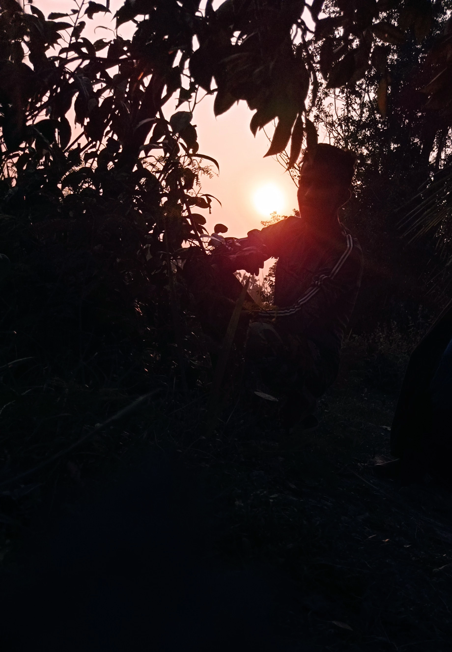 Sulima Akter21968168nz1u