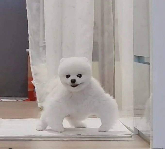 초원98_2