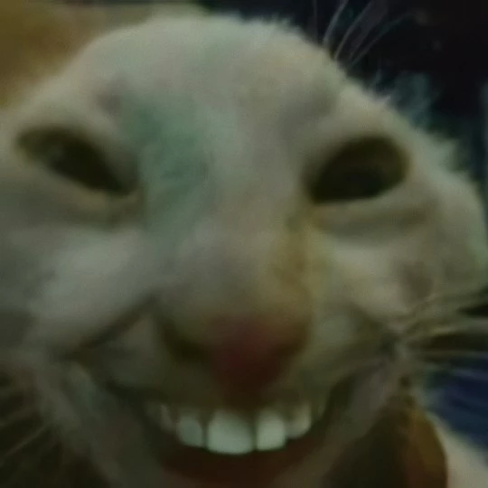 Otis771