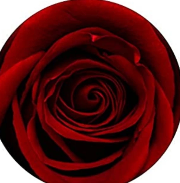 Danielle239757131bpe