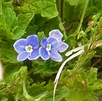 Michèle24086338btfc