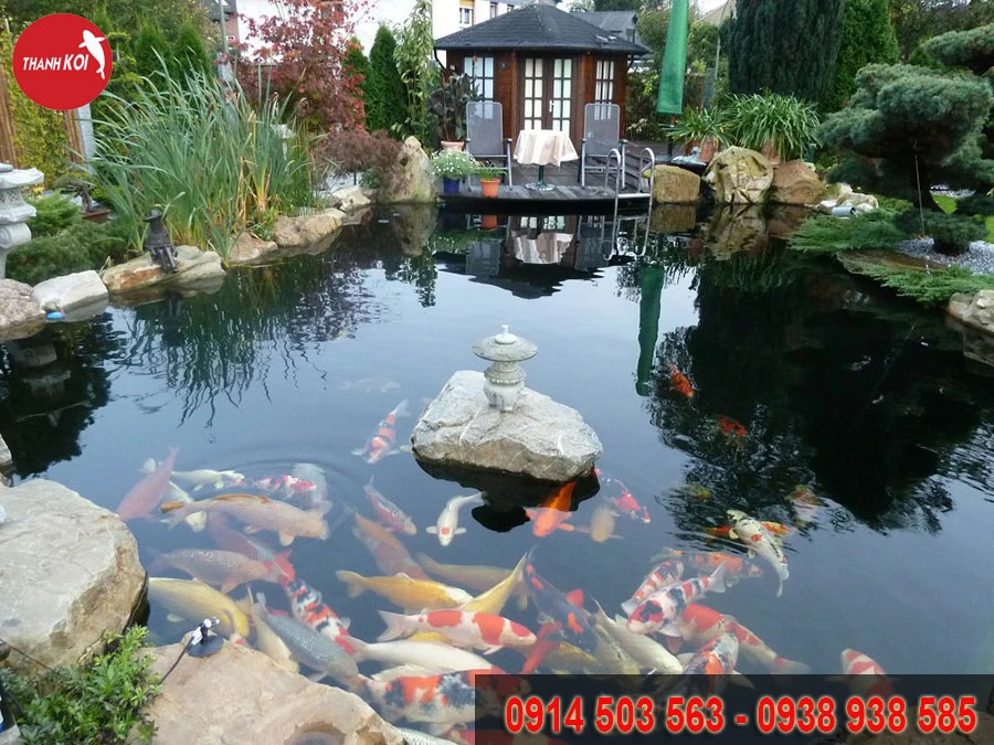 CẢNH QUAN THANH SƠN