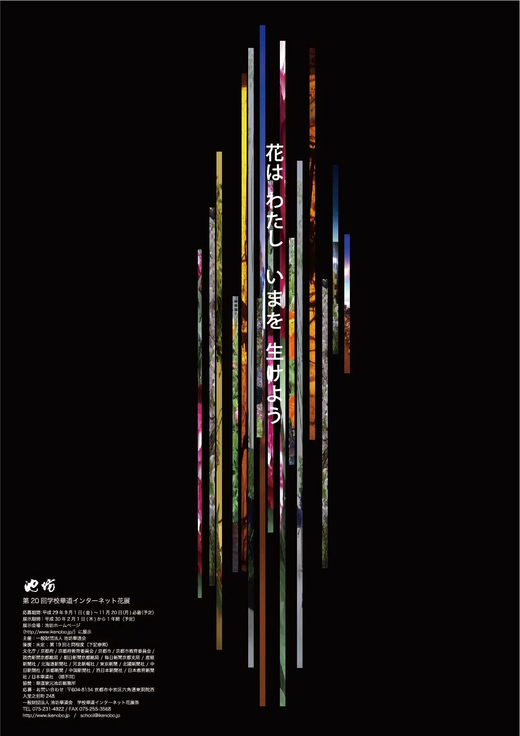 pubupubu2414996265qz