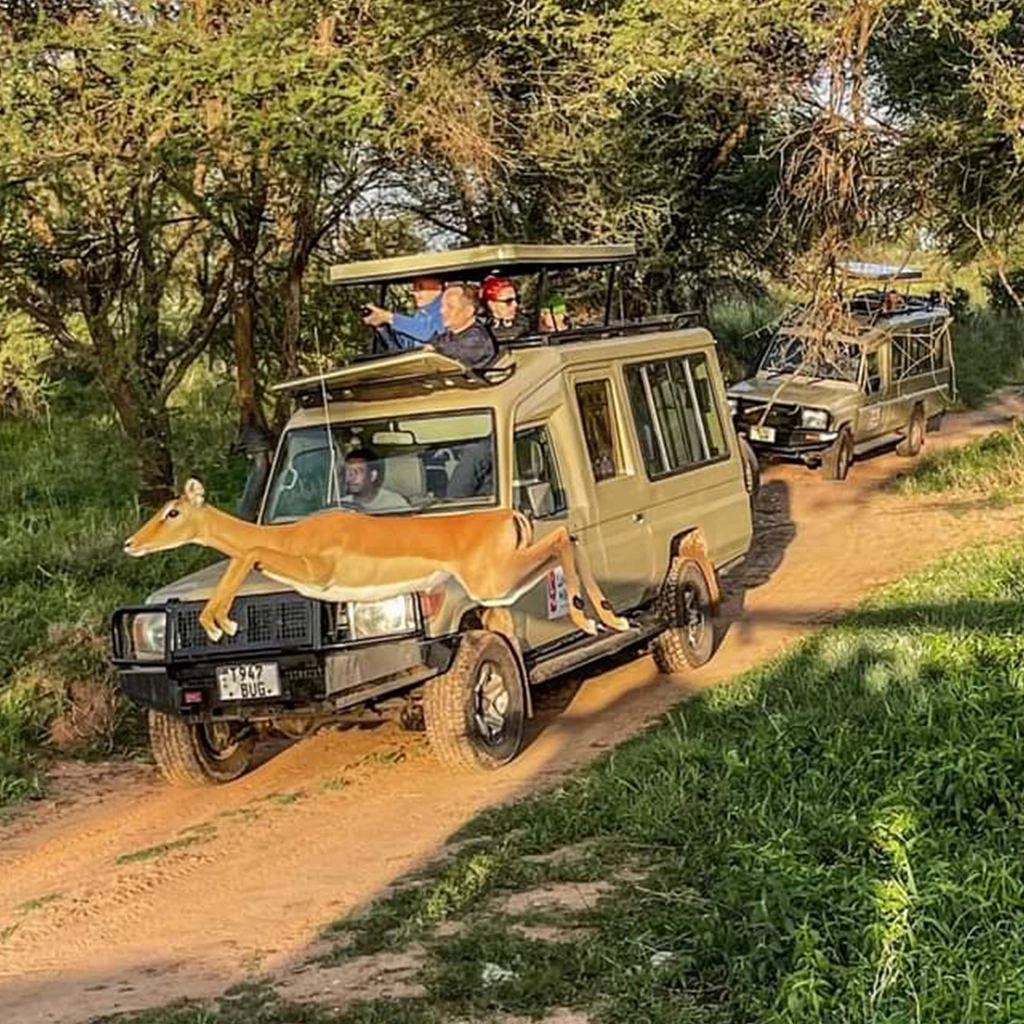 MOUNTKILIMANJAROGUIDE