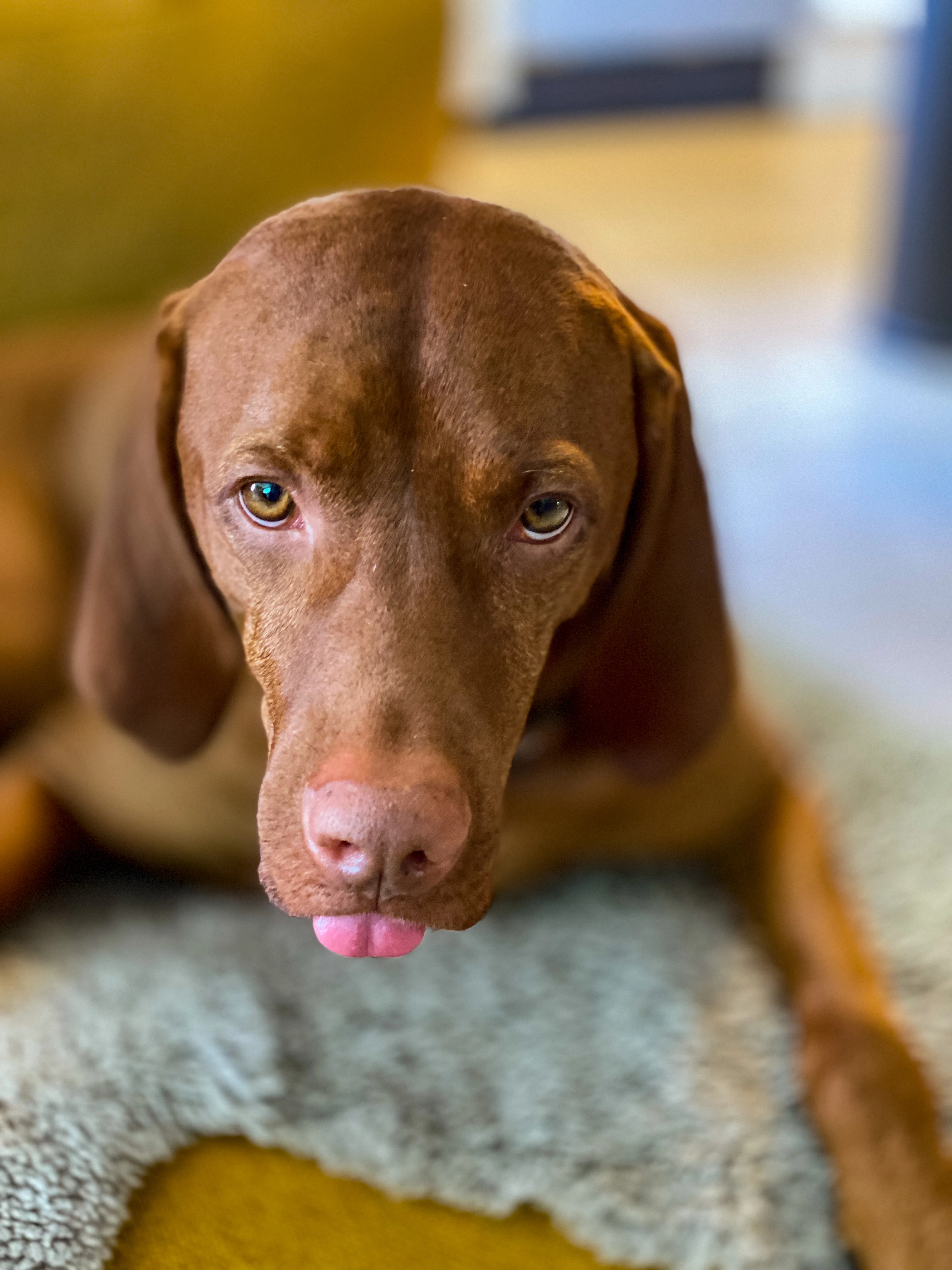 Jan Tore Tjøs25731566n09j