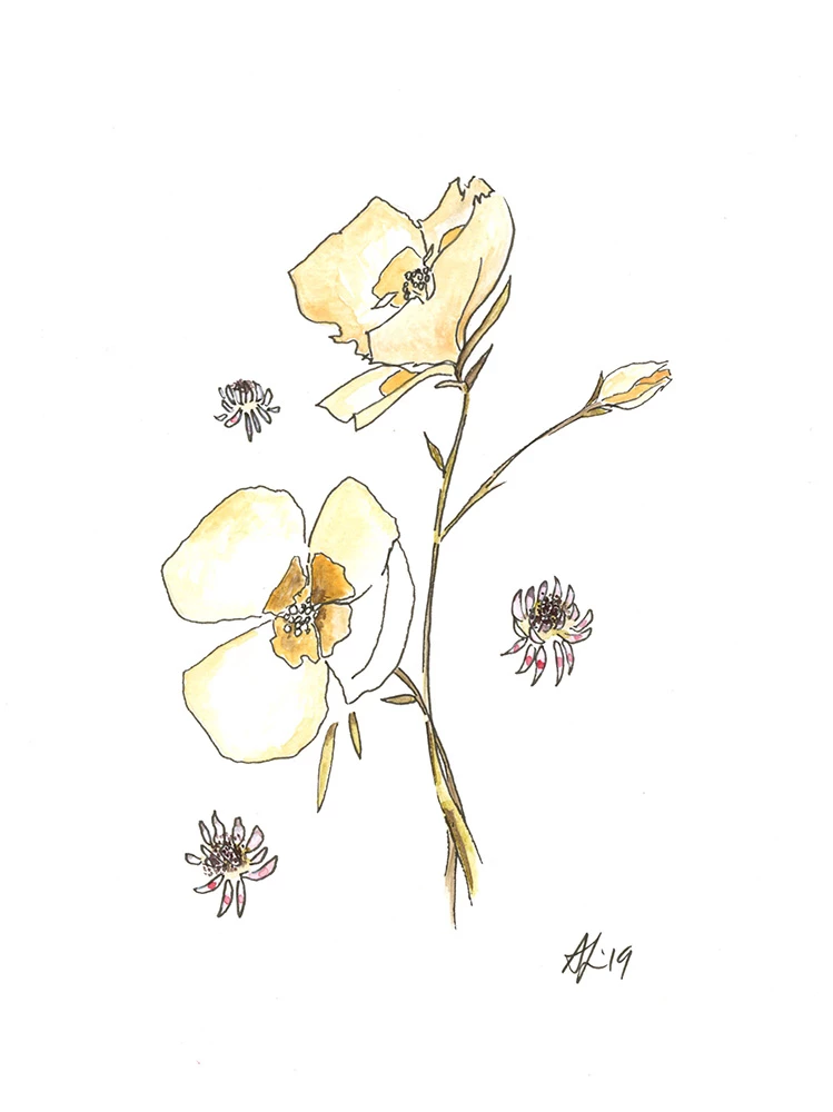 Anna the Art Professor