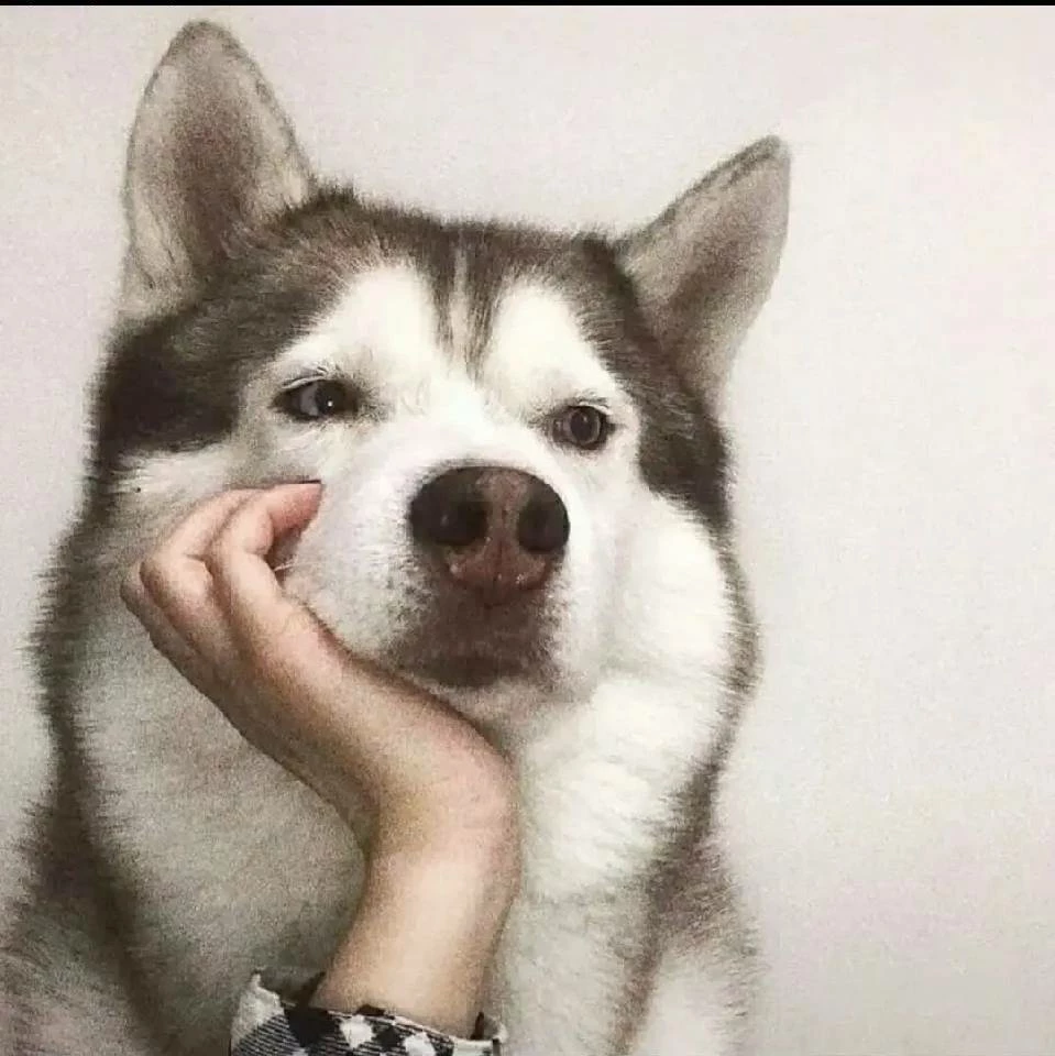 未知的动力
