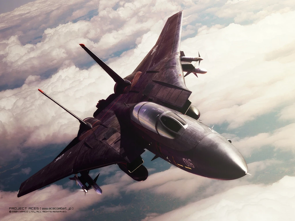 F14Tomcat