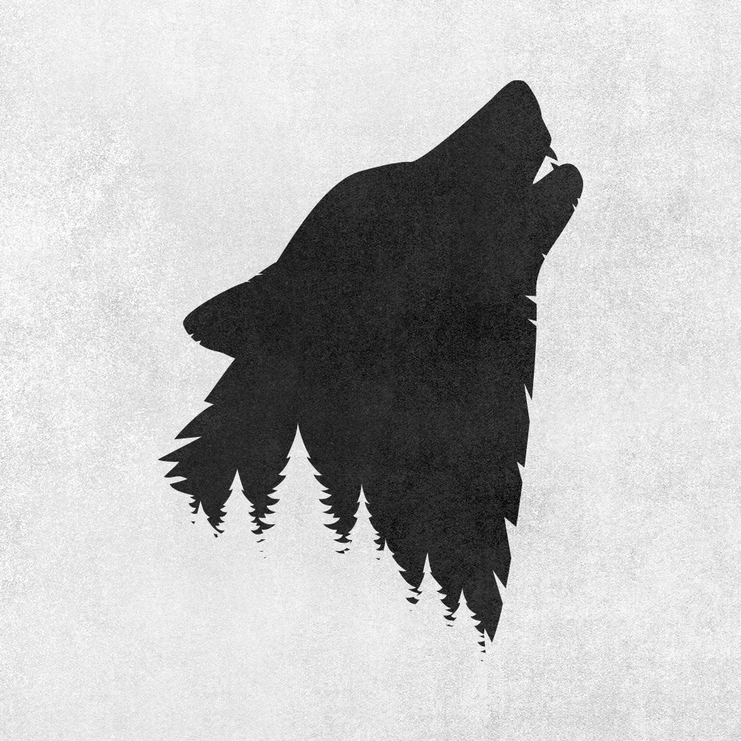 CELSO OTAVIO246587382hy7