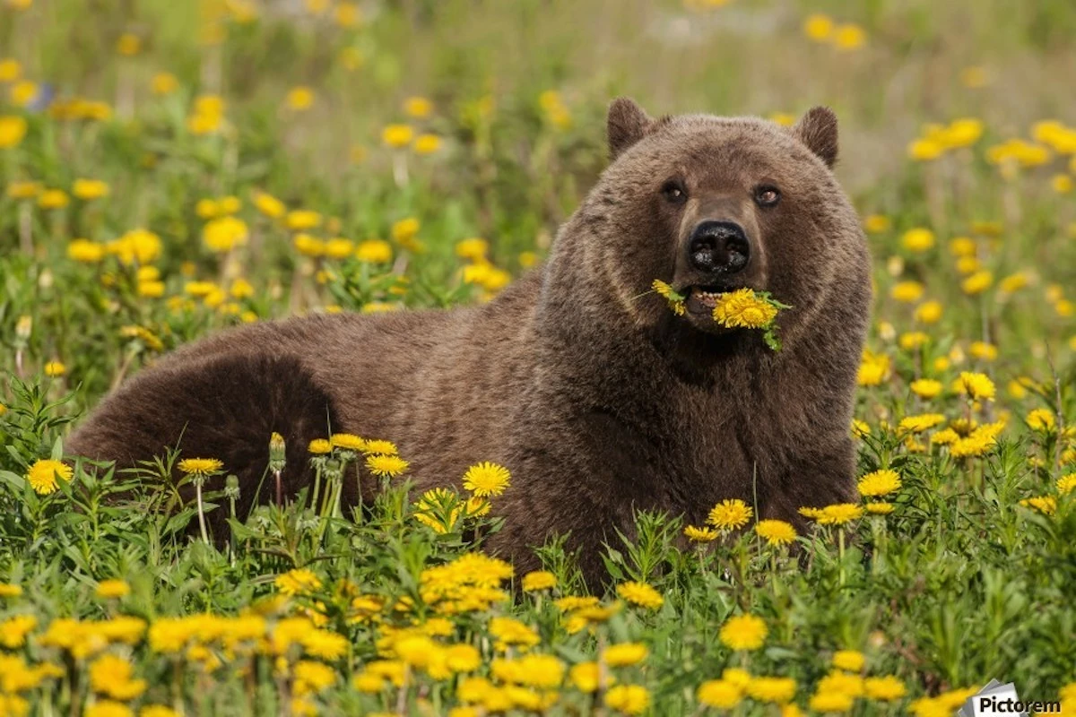 Bridgette.Is.Enthusiastic