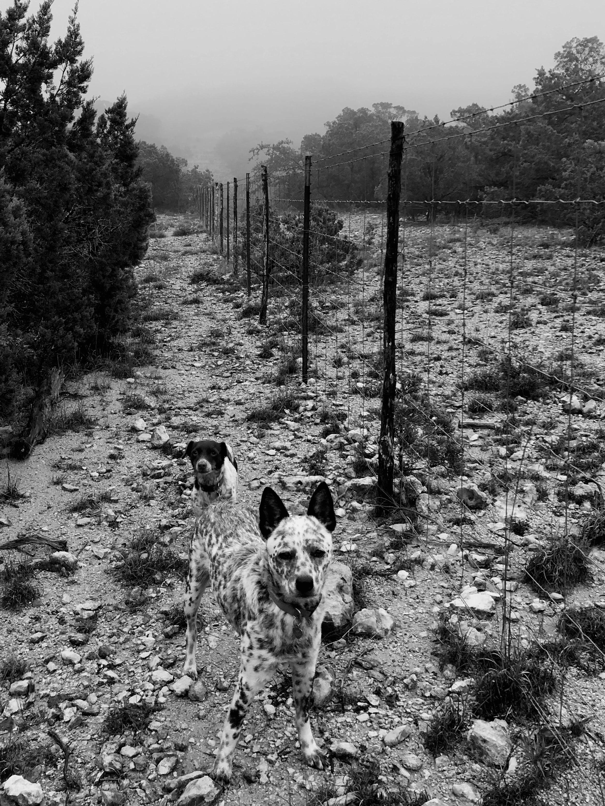 joaquin@joaquinmorin.com