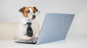 Александр23114930h3vg