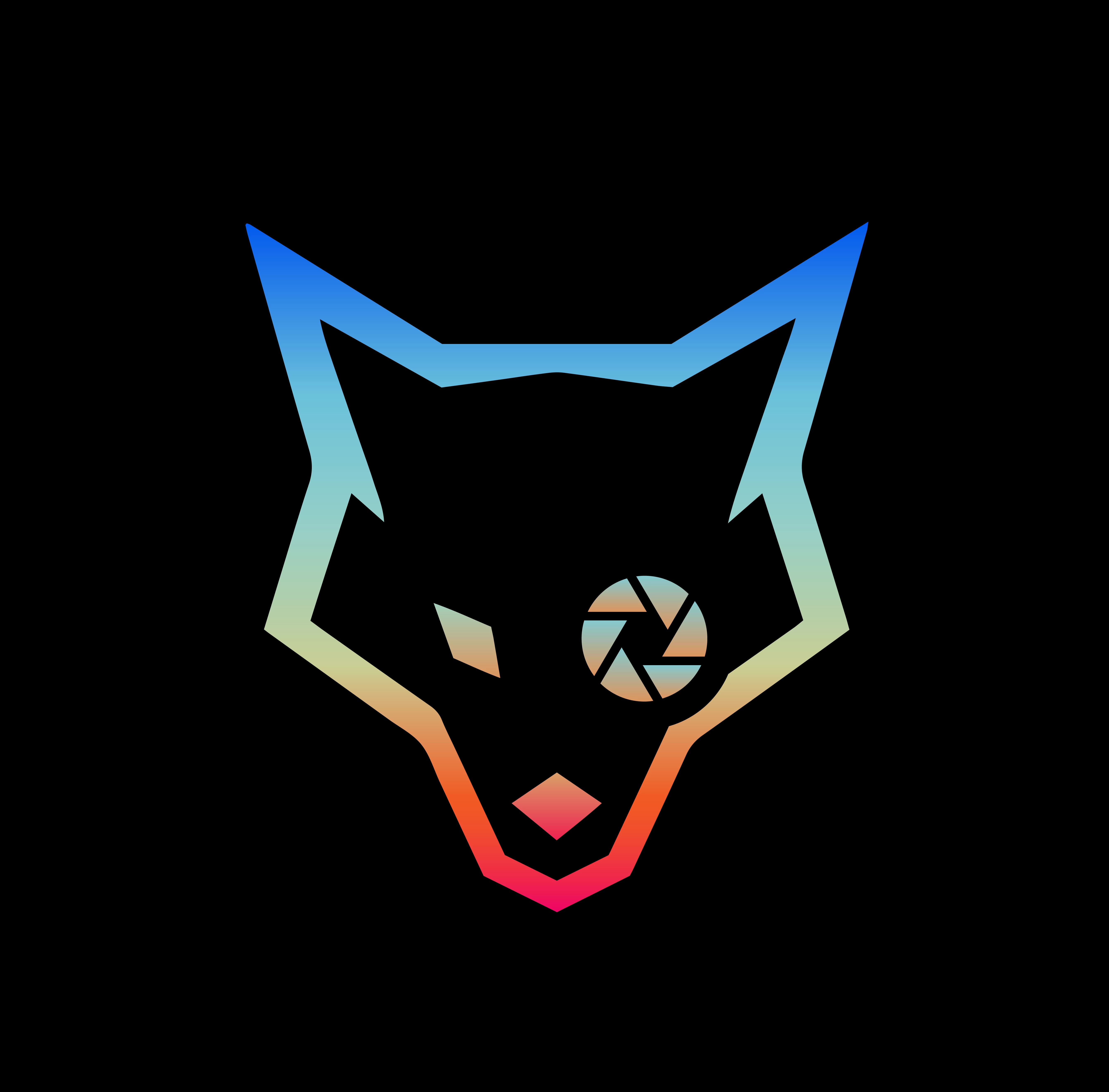 media.coyote